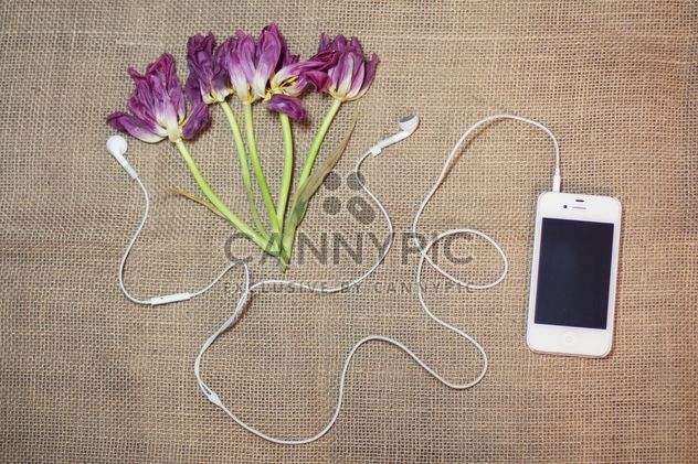 Tulips and smartphone with earphones on burlap background - бесплатный image #301363