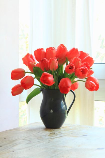 Vase of flowers - Kostenloses image #301373