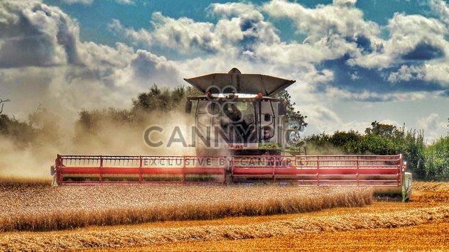 Grain agriculture machinery - Free image #302793