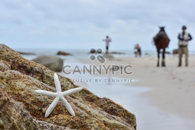 People on the beach in blur - image gratuit #303763 