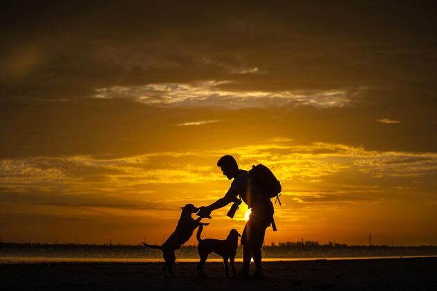 silhouette of man and dog at sunset - бесплатный image #303983