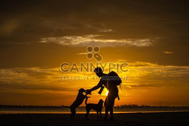 silhouette of man and dog at sunset - image #303983 gratis