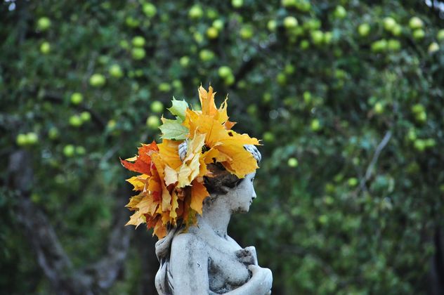 a wreath of maple leaves on the statue - бесплатный image #303993