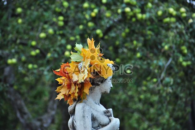a wreath of maple leaves on the statue - Free image #303993