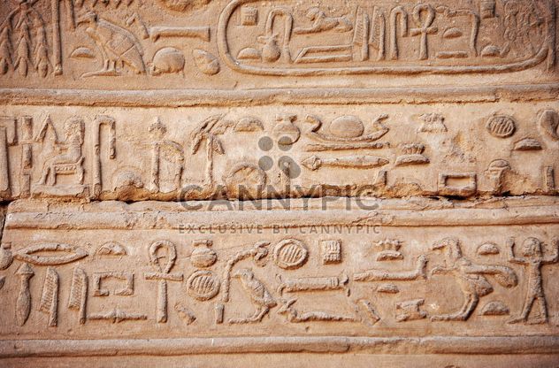 Egyptian hieroglyphics - Kostenloses image #304003