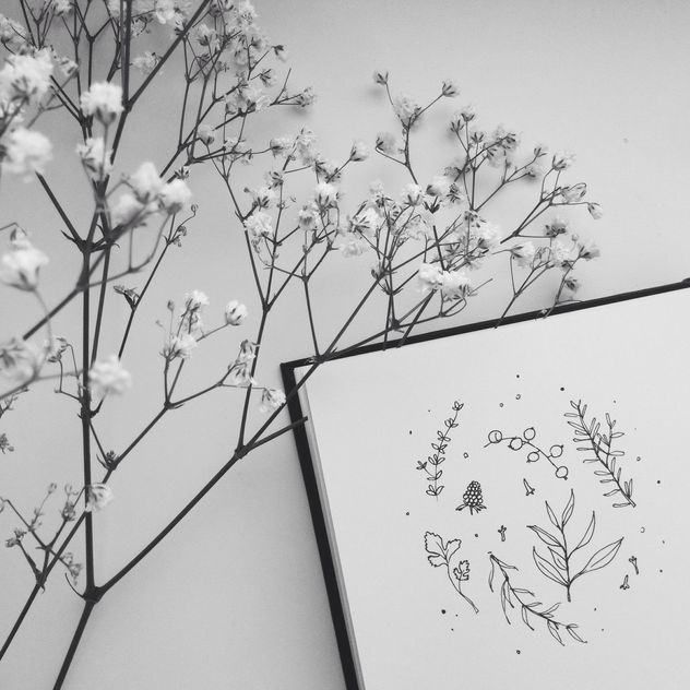herbal drawing and flowers b/w - Kostenloses image #304123