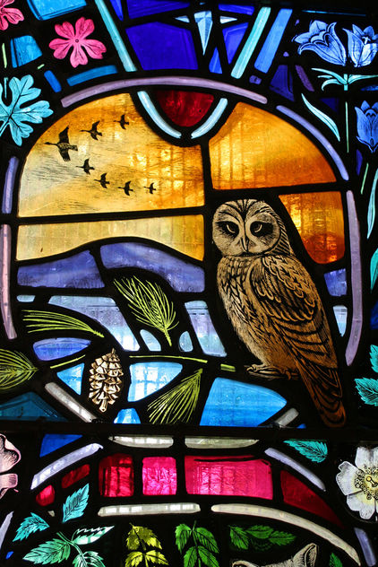 Local Wildlife - stained glass window, Dornoch Cathedral #1 - image gratuit #306033 