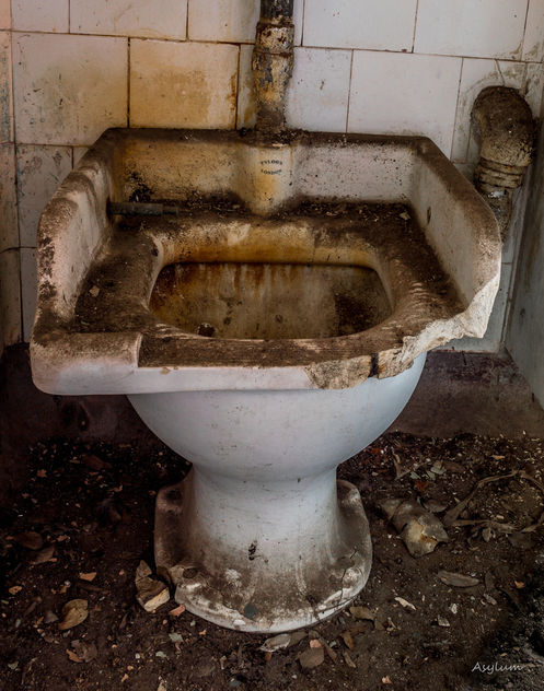 Insane Toilet - Kostenloses image #309413
