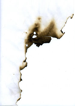burnt-paper-texture-6 - image gratuit #311843 