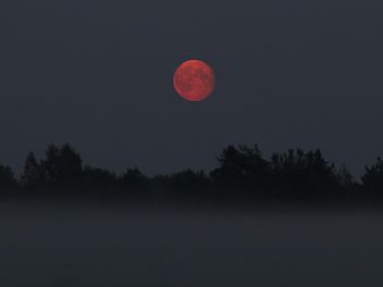 Moonrise in the fog - image #317373 gratis