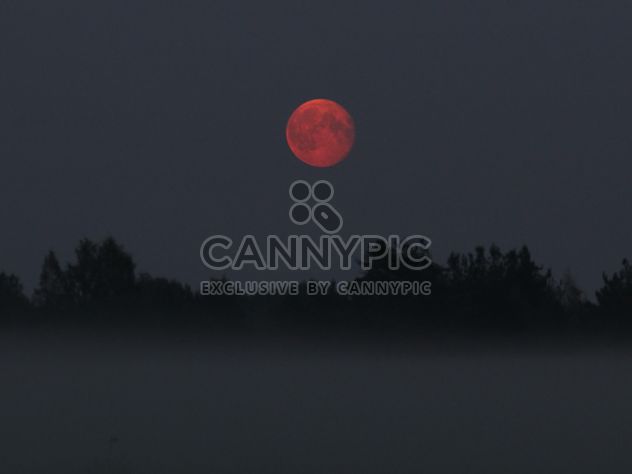 Moonrise in the fog - Kostenloses image #317373