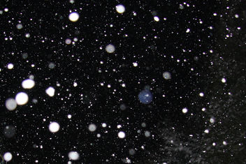 texture ~ the first snow - бесплатный image #324033