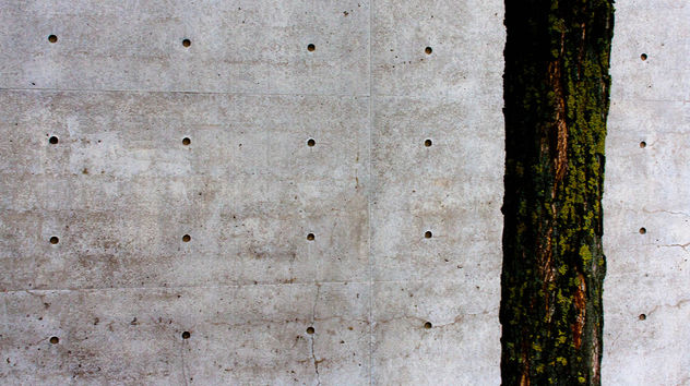Concrete Textures - Free image #324283