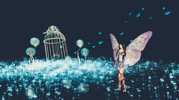 Magic Butterfly Queen - image gratuit #325943 