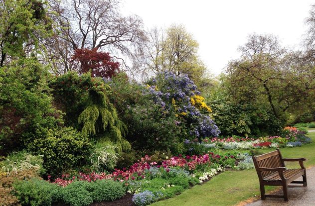 Blooming bushes in Hyde park, London - бесплатный image #328413
