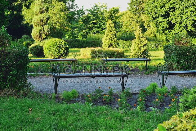 BenchesIn the summer Park - image gratuit #328433 