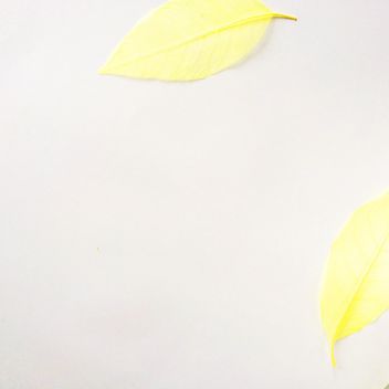 #yellow #dry #leaves - бесплатный image #329173