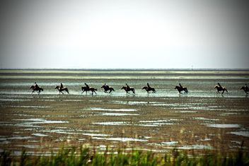 Horse riders running afar - image gratuit #332933 