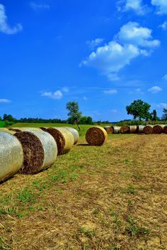 Countryside agriculture - image gratuit #333733 