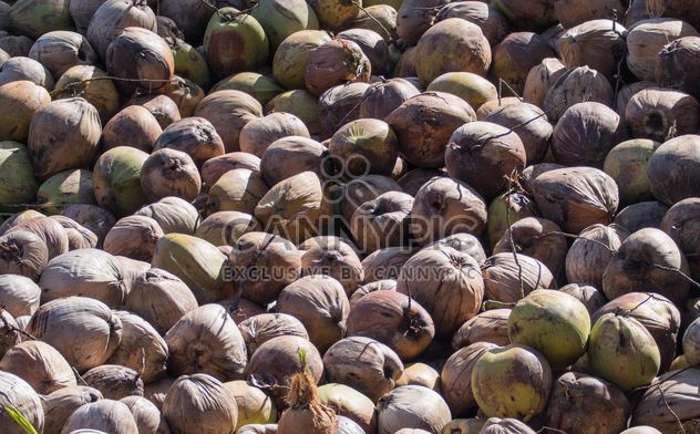 Coconut texture - Kostenloses image #335193