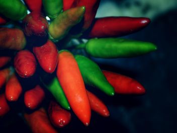 Red chilli peppers - Free image #338313