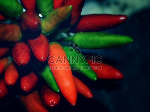 Red chilli peppers - image gratuit #338313 