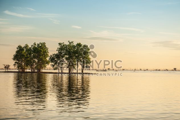 Trees sticking from water - Free image #344093