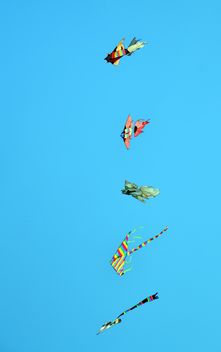 kites in the blue sky - image gratuit #344213 
