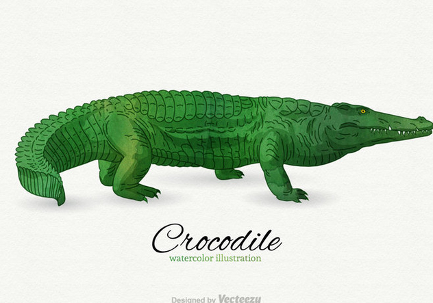 Free Crocodile Vector Illustration - бесплатный vector #344683