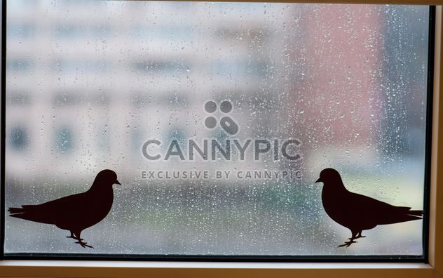 Birds stickers on window with raindrops - Free image #345013