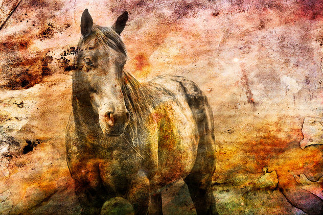 textured horse - Free image #346893