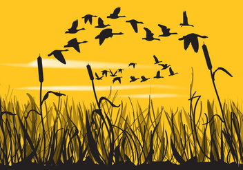 Reeds And Geese Silhouettes - Free vector #349673