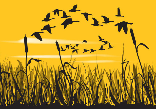 Reeds And Geese Silhouettes - vector gratuit #349673 