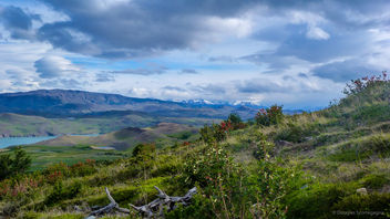 Landscape from Patagonia - image #349933 gratis