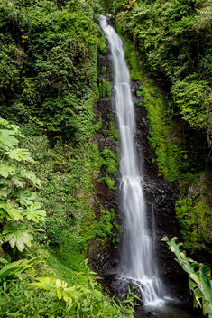 Lush waterfall - image #351563 gratis