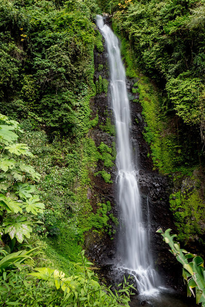 Lush waterfall - Kostenloses image #351563