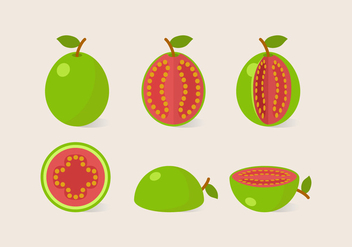 Vector Guava - Kostenloses vector #353963