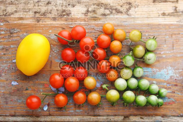 Fresh cherry tomatoes - image #359153 gratis