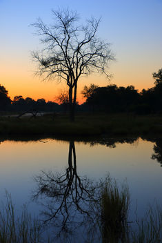 Reflections in the Delta - image #368183 gratis