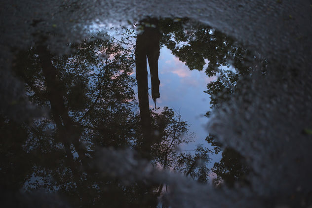 Reflection in the puddle - image gratuit #380993 