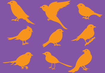 Orange Bird Silhouette Icons Vector - Kostenloses vector #381573