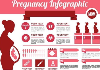 Free Pregnancy Infographic Vector - vector gratuit #383803 