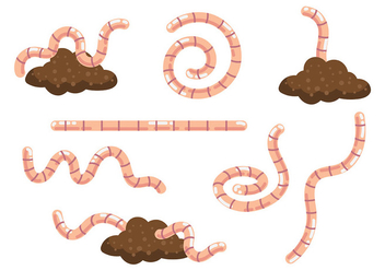 Free Earthworm Icons Vector - vector gratuit #384123 