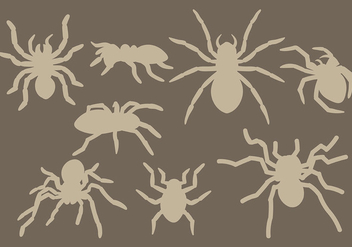 Free Tarantula Icons Vector - vector gratuit #392963 