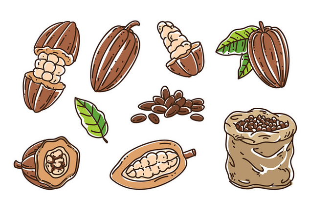 Cocoa Beans Vector - vector #393023 gratis