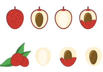 Free Lychee Vector - Free vector #393663