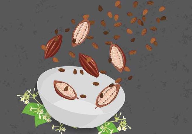 Free Cocoa Beans Illustration - vector #393993 gratis
