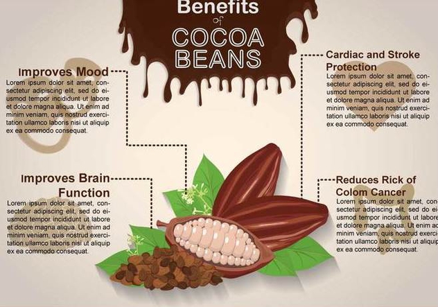Free Cocoa Bean Illustration - vector #394003 gratis
