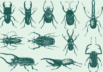 Strange Bugs - Kostenloses vector #395383