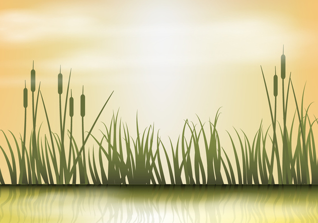 Reeds On Sunset Background Vector - Kostenloses vector #400503